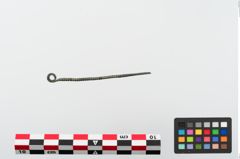 Foto von Bronzenagelreiniger (NHMW-PRAE-024108)